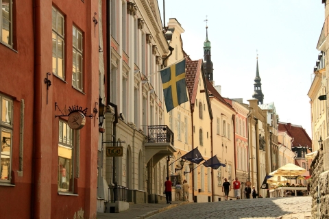 Dos países en un día: Excursión de un día de Riga a Tallin