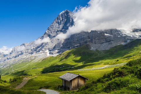 Viagem privada de 1 dia: Interlaken a Grindelwald &amp; Passeio nas falésias