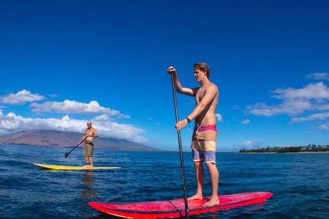 Maui: Makena Bay Stand-Up Paddle TourMakena Bay: Grupo pequeño de paletas y snorkel con guía