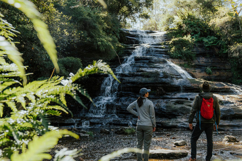 Blue Mountains Half Day Tour with Worlds Steepest Railway
