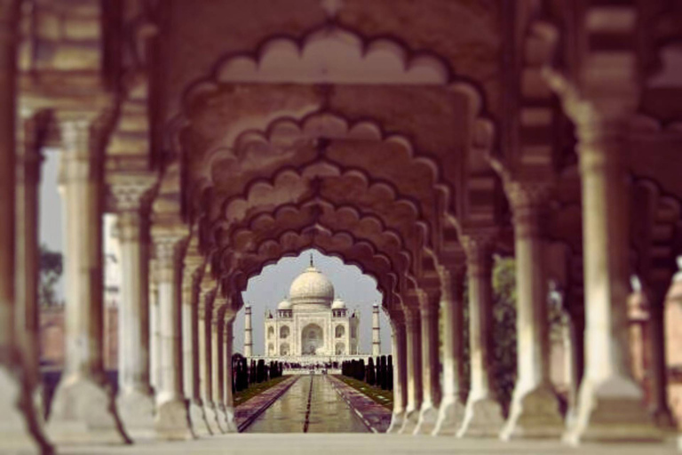 Visite privée du Taj Mahal et du Fort d'Agra le même jour avec promenade en bateauVoiture AC + chauffeur + guide touristique + déjeuner dans un hôtel 5 étoiles