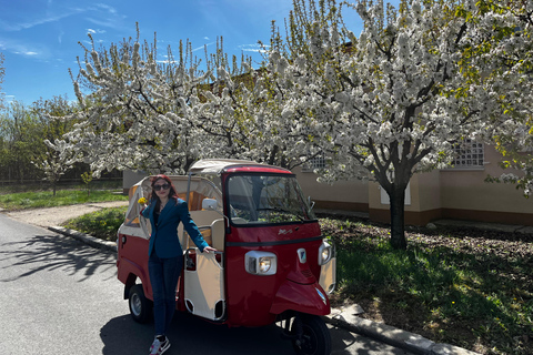 Bukarest: Tuk Tuk Stadtführung