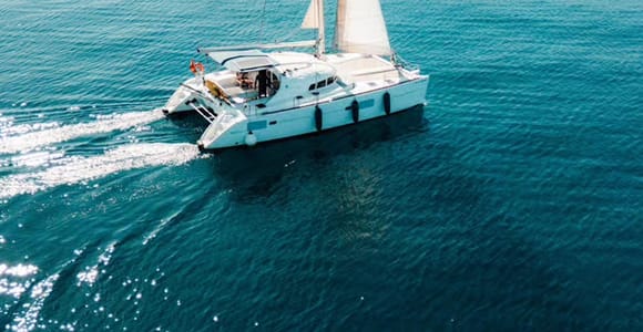 Benalmádena: Catamarán & Dolphin Watching with Snacks/Drinks
