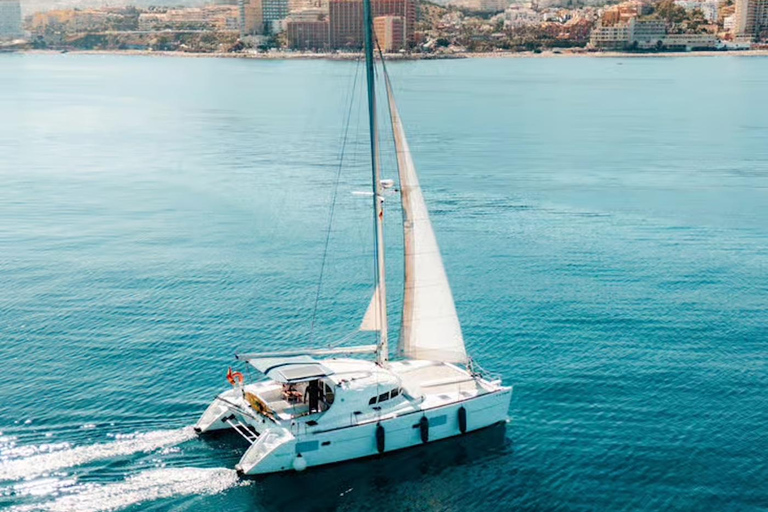 Benalmádena: Sailing & Dolphin Watching with Snacks/Drinks 2-hour PRIVATE up to 12 people