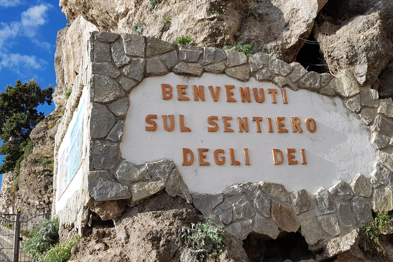 De Sorrento: Caminhada guiada pelo Caminho dos Deuses com traslados