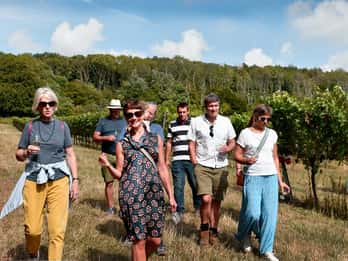 Kent: Visita y cata de vinos en Westwell Wine Estate
