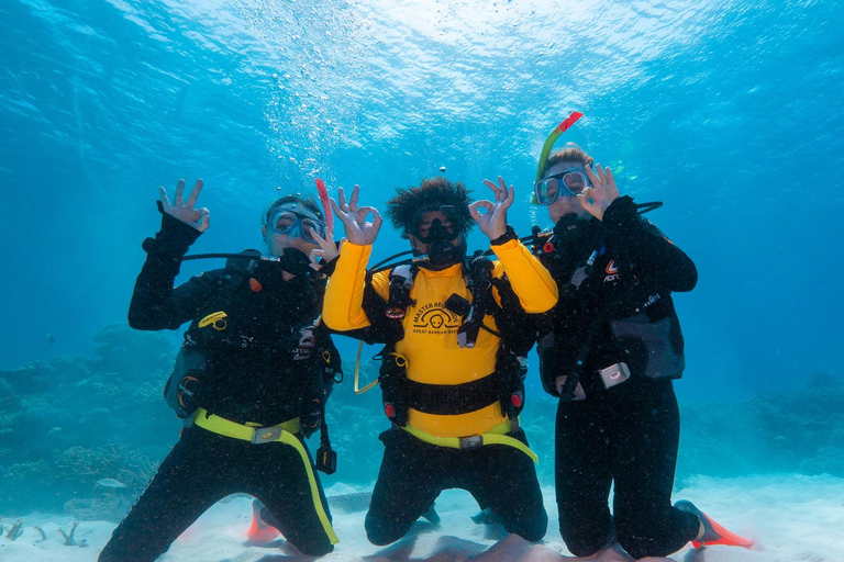 Cairns: Green Island Full-Day Tour with Diving Glass Bottom Boat OR Snorkel Equipment + Intro Dive