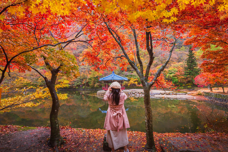 Seoul: Naejangsan National Park Autumn Foliage One Day Tour Shared Tour, Meet at Dongdaemun
