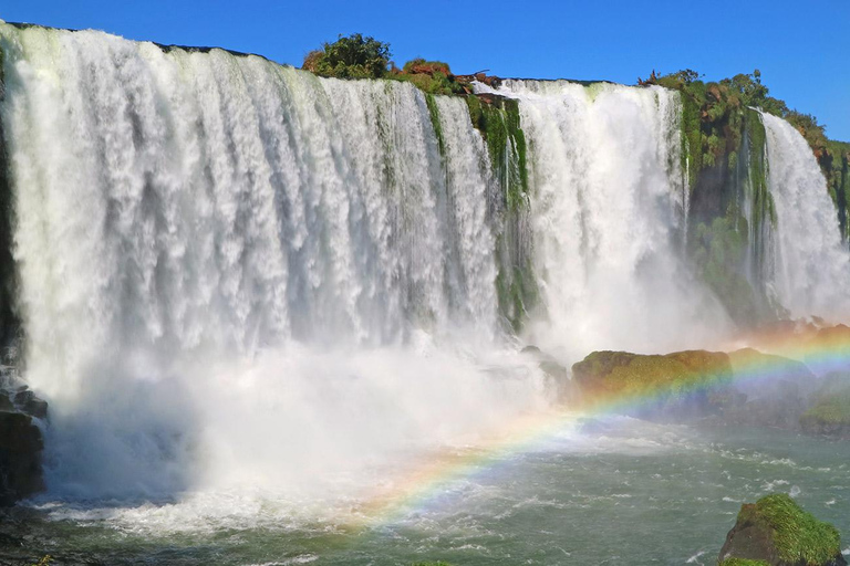 Aventure aux cascades du Brésil + parc ornithologique - Visite guidéeChutes d&#039;eau du Brésil et parc ornithologique + (guide et transport)