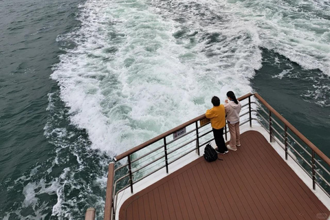 Shenzhen: Shekou Cruise with Buffet & City Walk with Guide