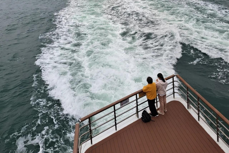 Shenzhen: Shekou Cruise with Buffet & City Walk with Guide