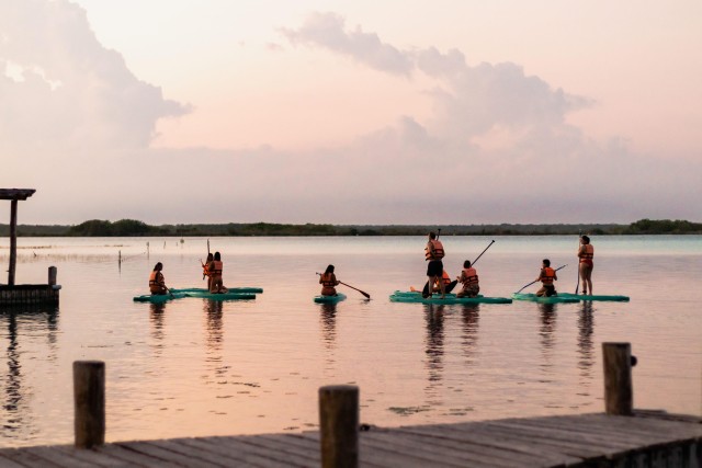 Visit Paddleboard or kayak sunrise tour in Bacalar lagoon in Bacalar