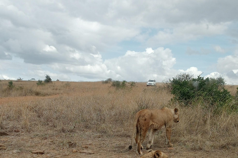 Parco Nazionale del Lago Nakuru da Nairobi