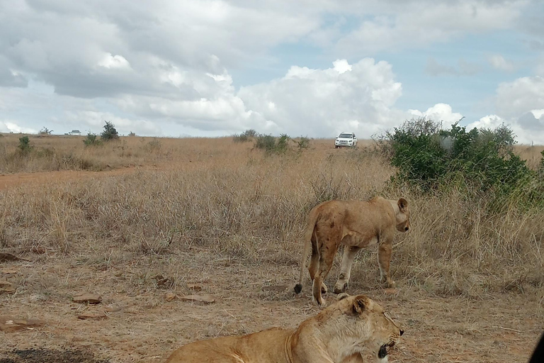 Parc national du lac Nakuru depuis Nairobi