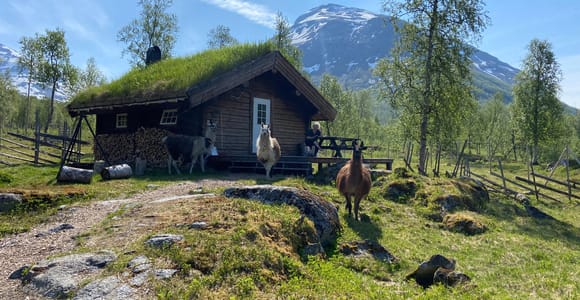Tromsø: Overnight HuskyLodge Stay with Dog Sledding in Bardu