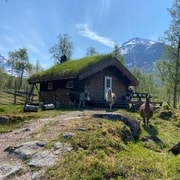 Tromsø: Overnight HuskyLodge Stay with Dog Sledding in Bardu
