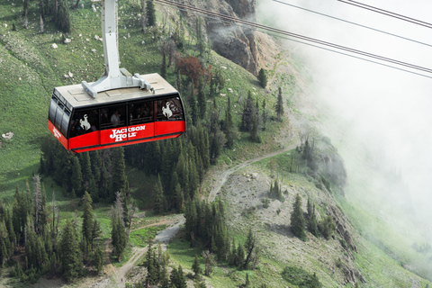 Jackson Hole: Aerial Tram and Gondolas Sightseeing Aerial Tram Only - Early Summer 2026