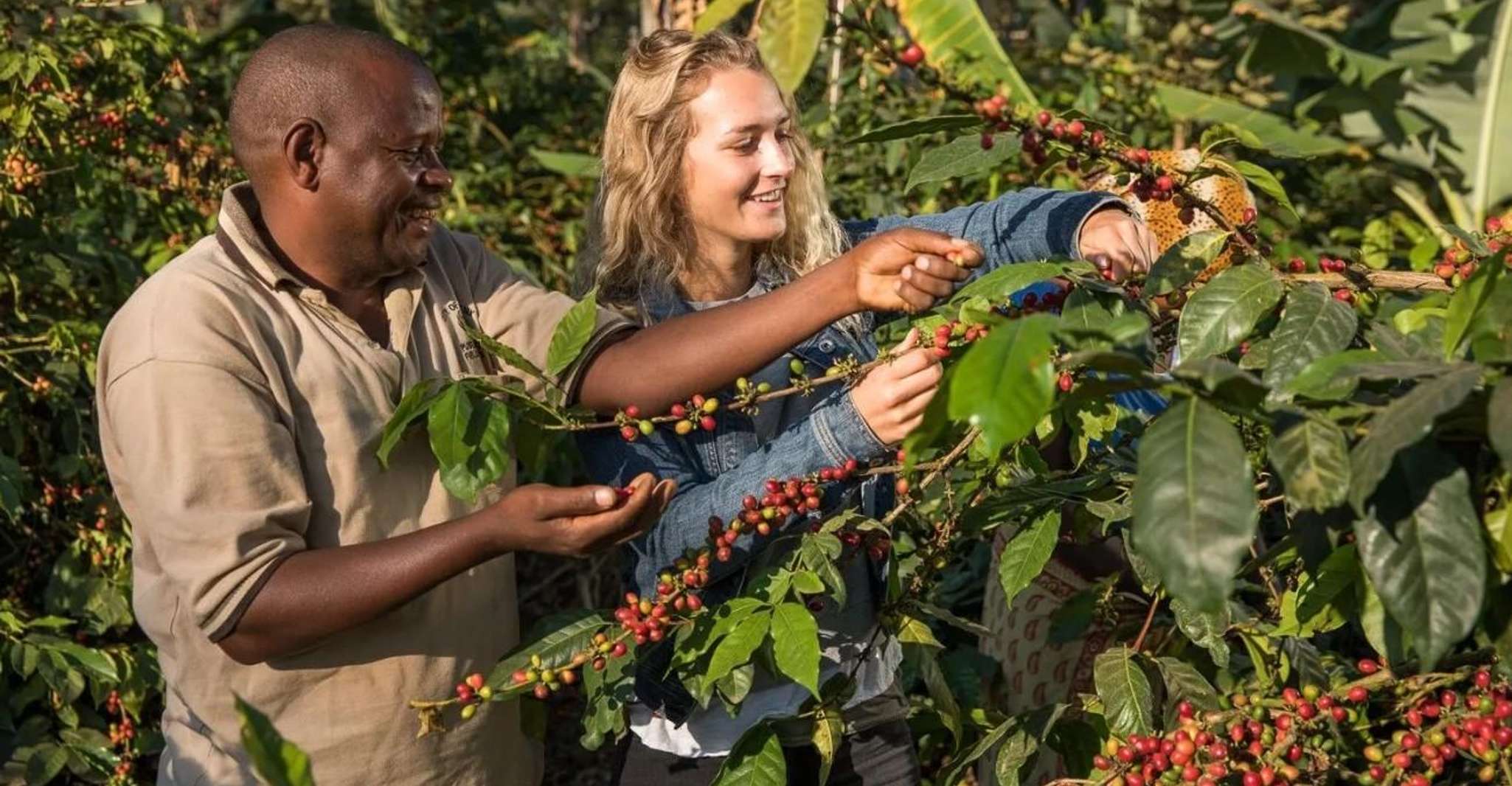 Materuni waterfalls,coffee tour & Kikuletwa(Chemka) - Housity