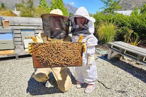 Queenstown : expérience d'apiculture et extraction de miel