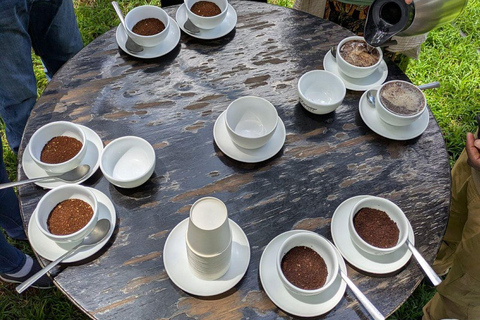 Fairview Coffee Farm Day Tour From Nairobi