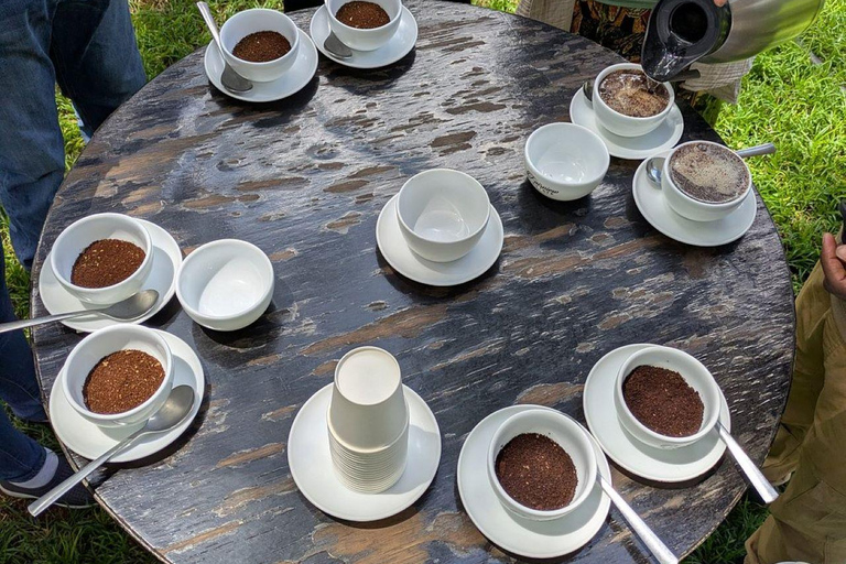 Fairview Coffee Farm Day Tour From Nairobi