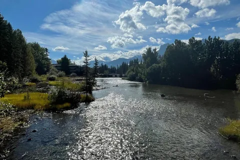 Canmore: Guided Town Walking Tour with Sweet Treat and Drink