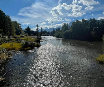 Canmore: Guided Town Walking Tour with Sweet Treat and Drink