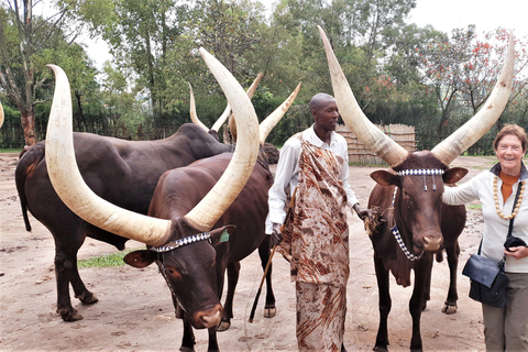 Kigali City Tour, Gorilla trekking, safari and Cultural tour