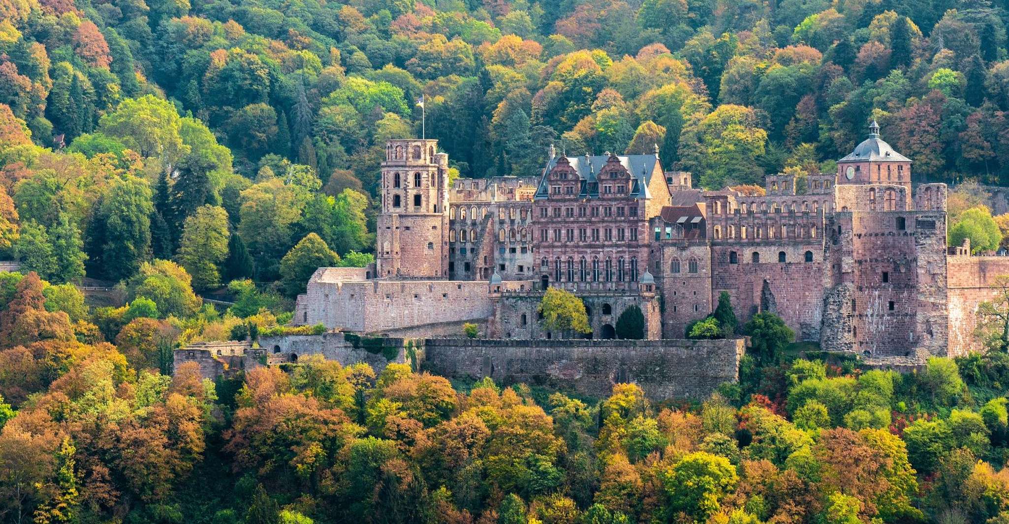 Heidelberger Schloss und Altstadt private Führung - Hizvo