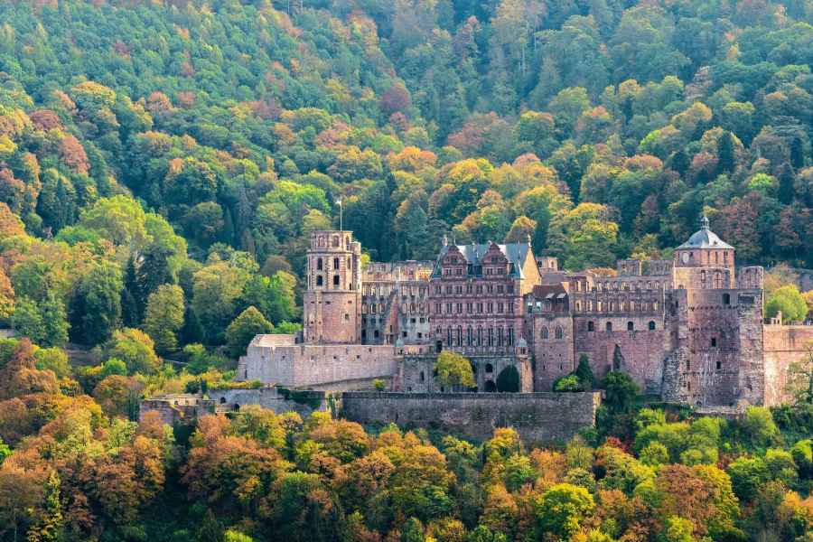 Heidelberg private Tour mit Stadtführung und Schlossbesichtigung