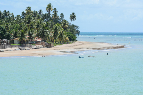 Traslado particular de Recife para São Miguel dos Milagres