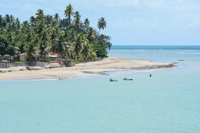 Privater Transfer von Recife nach Sao Miguel dos MilagresPrivater Transfer von Recife nach São Miguel dos Milagres