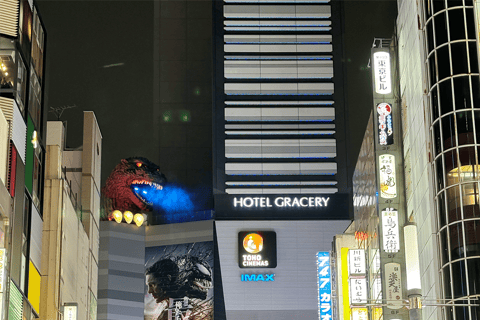 Tokyo: Shinjuku Nighttime Walking Tour with Local Guide