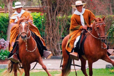 Depuis Lima : Sanctuaire de Pachcamac et cheval de paso
