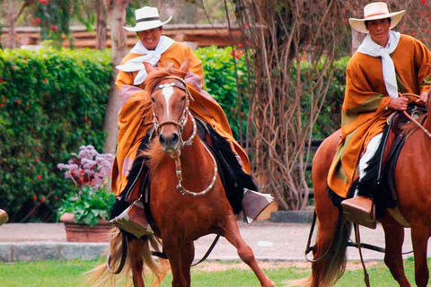 Depuis Lima : Sanctuaire de Pachacamac et cheval de paso