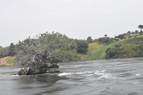 Jinja: Day Trip with source of the Nile Boat Cruise