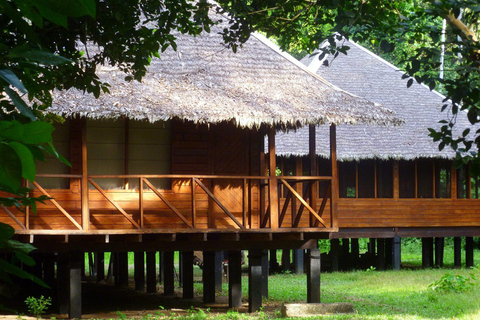 Van Cusco: Manu Madre de Dios Nationaal Park Peru 7 dagen