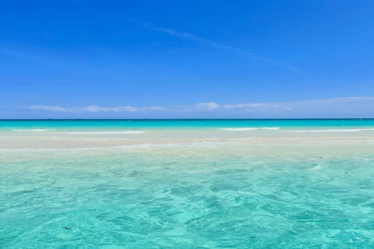 Choses à faire : Pique-nique sur le banc de sable de Nakupenda avec plongée en apnée