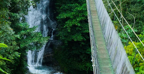 Quepos and Manuel Antonio: Waterfall and Hanging Bridge Tour