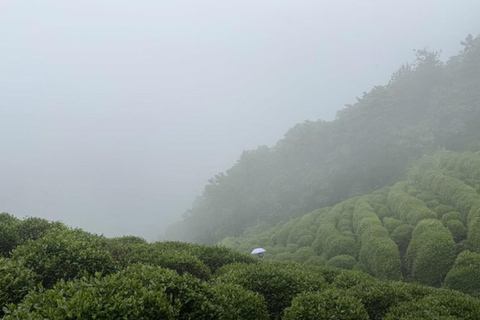 Suzhou: Hangzhou Nine Creeks & Longjing Tea Village Trip