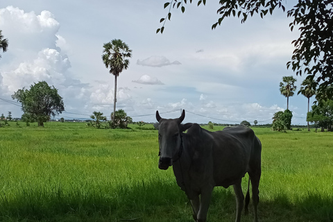Siem Reap: Tonle Sap Lake & Floating Village Tour Tour in a Tuk Tuk