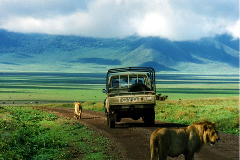 Arusha: 5-Day Wildebeest Migration Safari with Accommodation