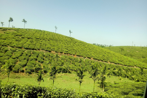 Kerala: Excursión a joyas ocultas: Los viajeros dijeron Fantástico:Kerala: Atracciones fuera de la pag: Los viajeros dijeron Fantástico: