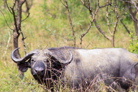 3 Day Akagera National Park Safari & Lake Muhazi.