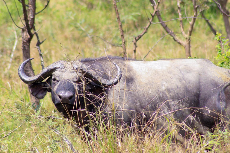 3 Day Akagera National Park Safari & Lake Muhazi.