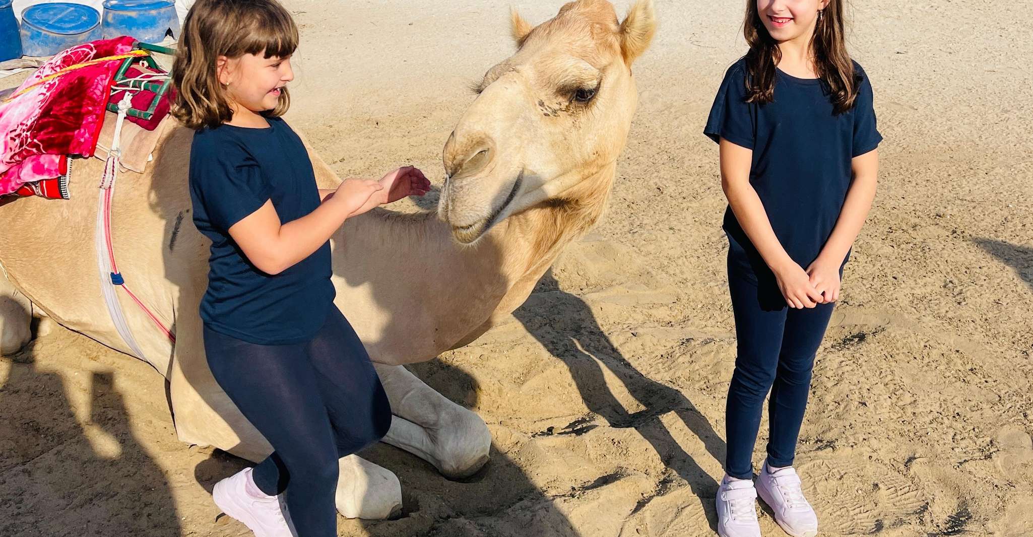 Around Bahrain For AIDAprima Tourists Shared Tour 5H photo 19