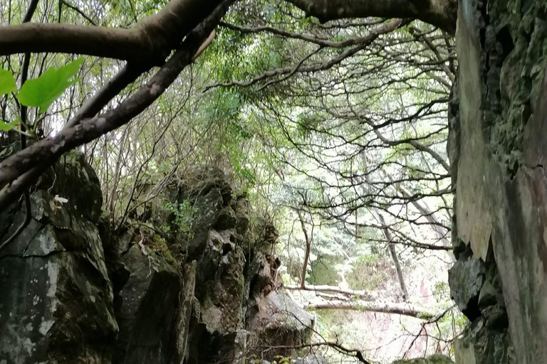 Flower Island: Van Tour