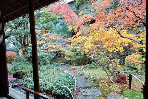 Kanazawa: Food Hopping from Ryotei Dinner to Local Bar