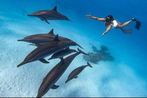 Mnemba Island: Guided Snorkeling & Dolphin Swim Experience Private Mnemba Island Snorkeling and dolphin swim