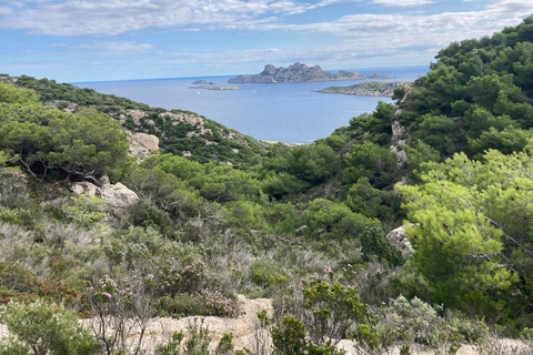 Calanques Ridge Trek with Panoramic Mediterranean Views